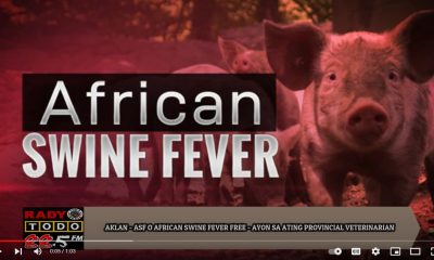 VIDEO REPORT - AKLAN - ASF O AFRICAN SWINE FEVER FREE, AYON SA ATING PROVINCIAL VETERINARIAN