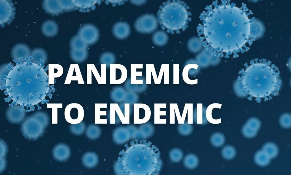 PANDEMIC TO ENDEMIC